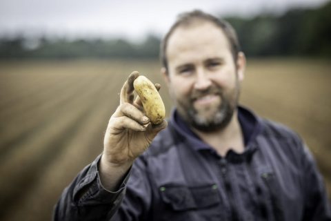 Pouliquen - Vente pommes de terre en gros - Celtiane - Bretagne France export