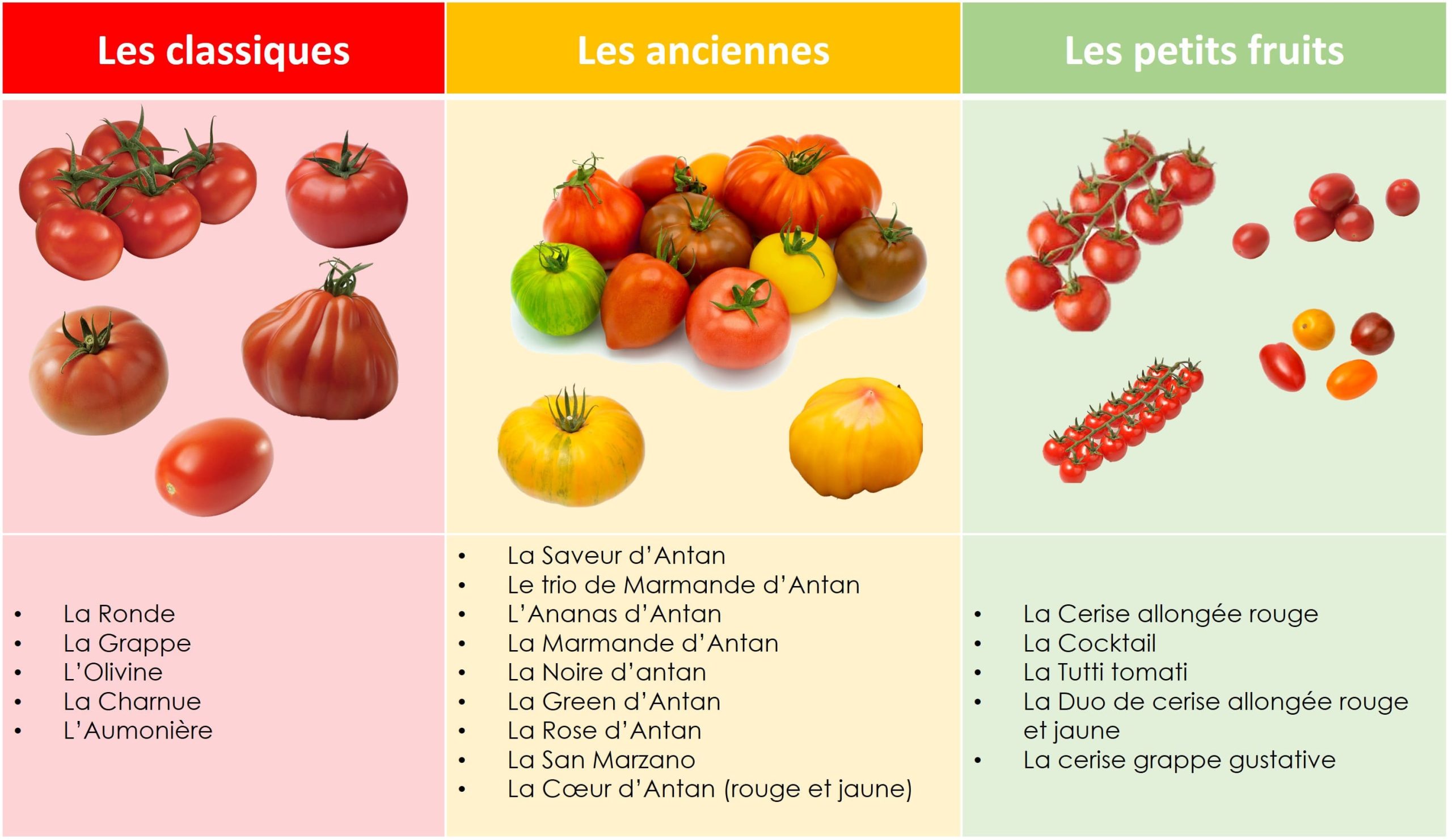 Pouliquen Synthèse Gamme tomate Prince de Bretagne 2024