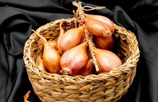 Echalotes traditionnelles de Bretagne - Légumes de fête - Pouliquen - Négoce - Export Europe